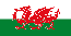 Y Ddraig Goch (The Red Dragon), which is the national flag of Wales